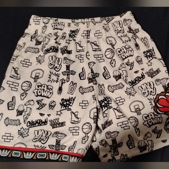 NEW Mitchell & Ness Vancouver Grizzlies Hardwood Classics Swingman Shorts size L - Picture 2 of 7